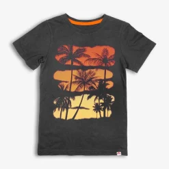Best Appaman Graphic Tee Palms
