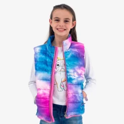Outlet Appaman Apex Puffer Vest DreamCloud