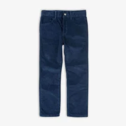 Online Appaman Skinny Cords Galaxy