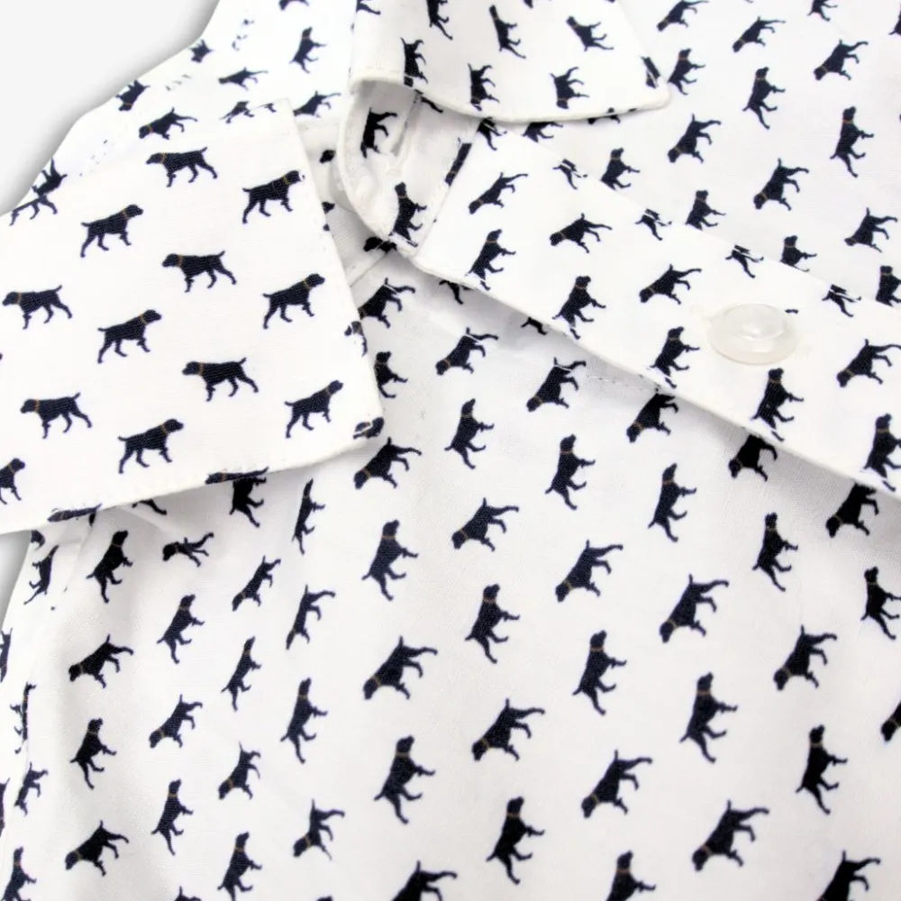 New Appaman Standard Shirt ThePointer