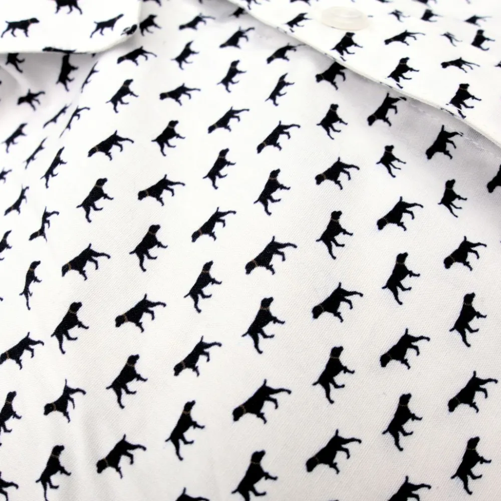 New Appaman Standard Shirt ThePointer