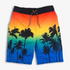 Best Appaman Swim Trunks OmbrePalms